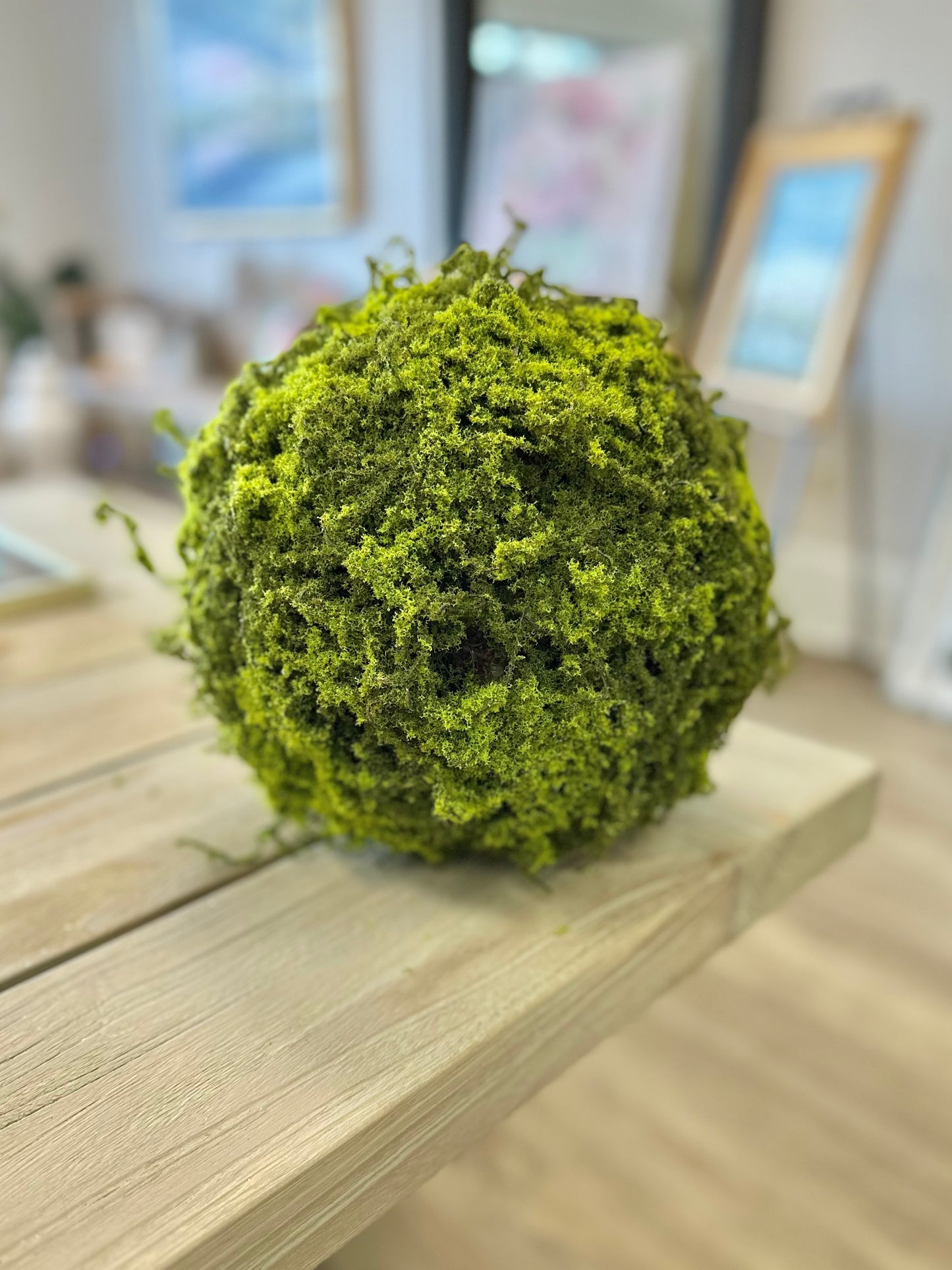 10" Moss Ball