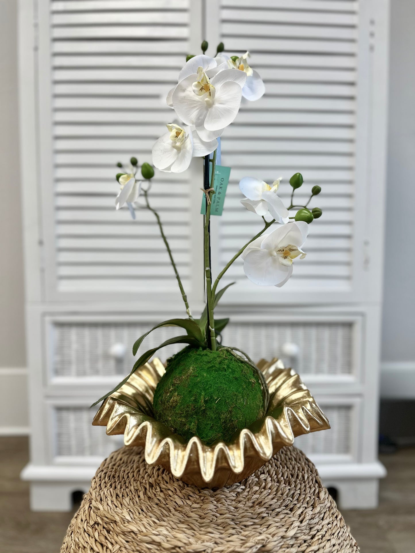 22" Real Touch White Orchid w/ Moss Ball