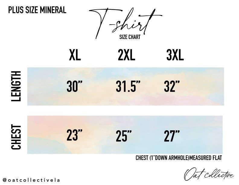 USA EST.1776 Mineral Graphic Top