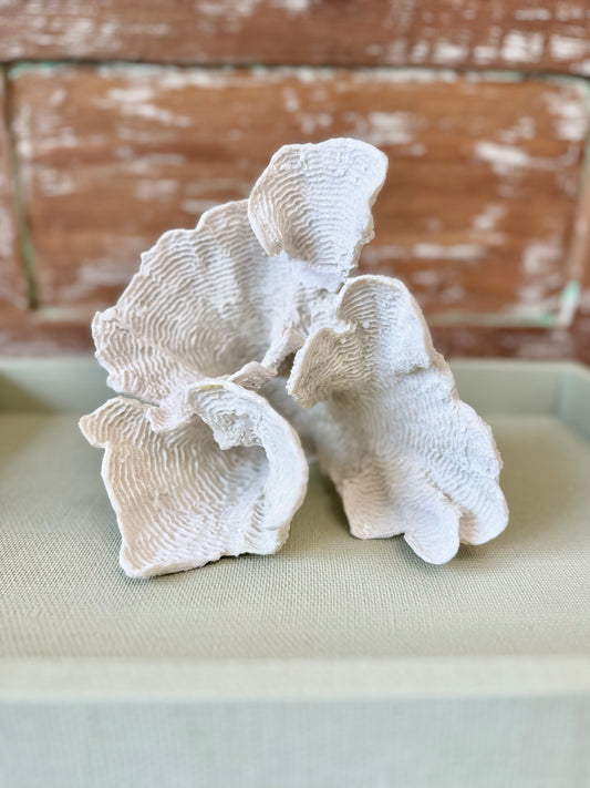 Coral Decorative Fixtures