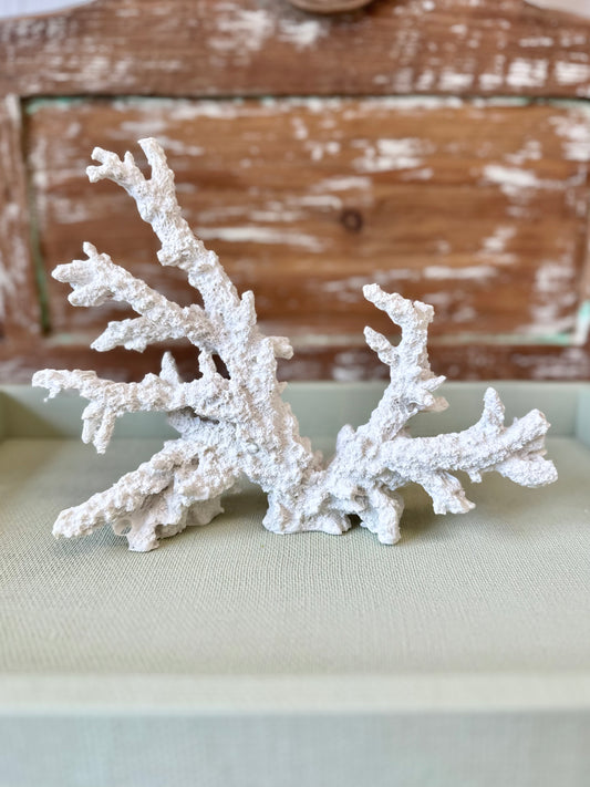Coral Decorative Fixtures