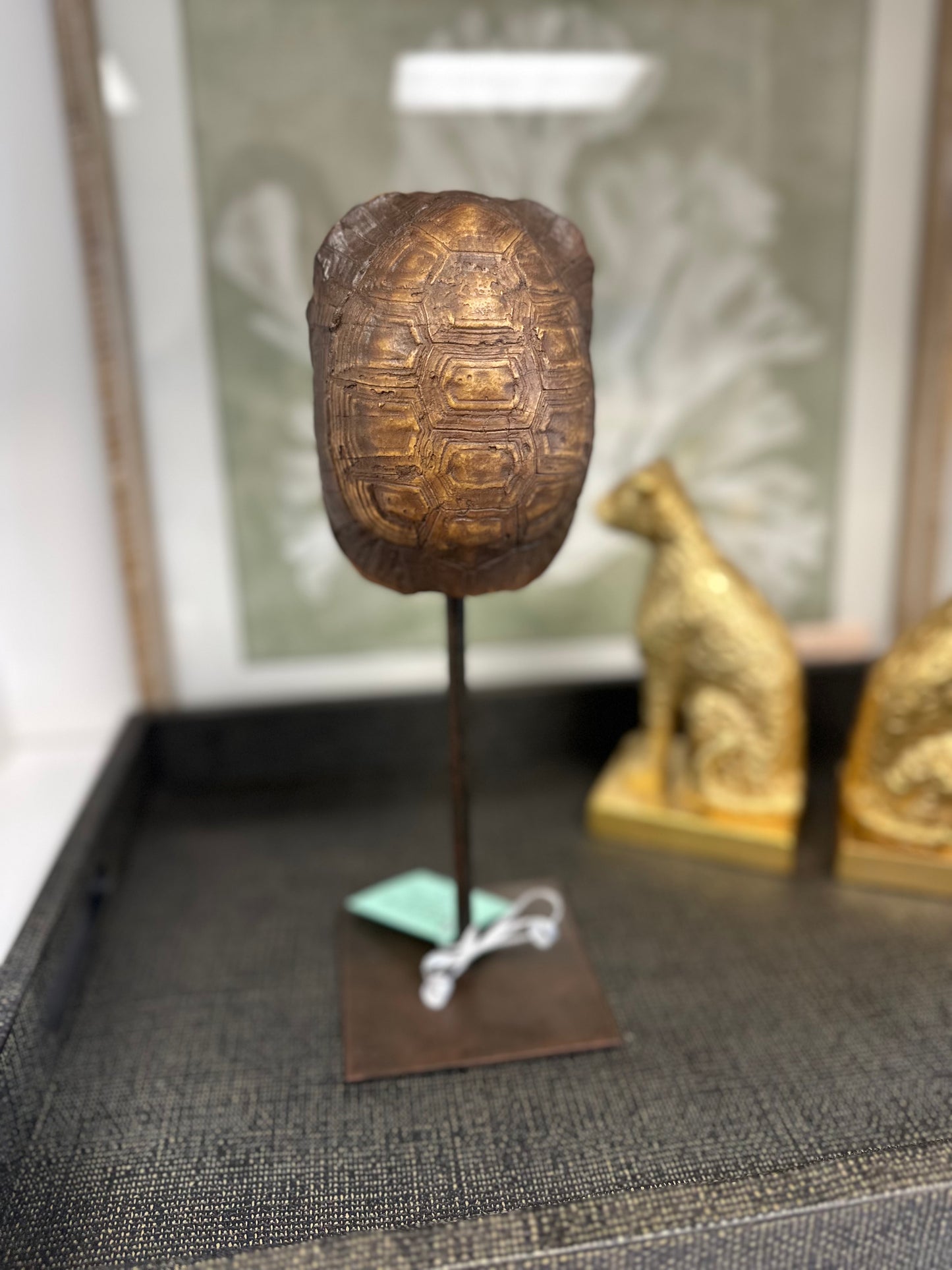 11x4" Resin Turtle Shell Stand