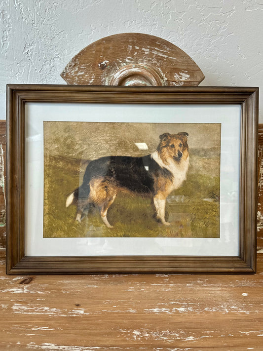 Heritage Hounds Framed Assorted Wall Art