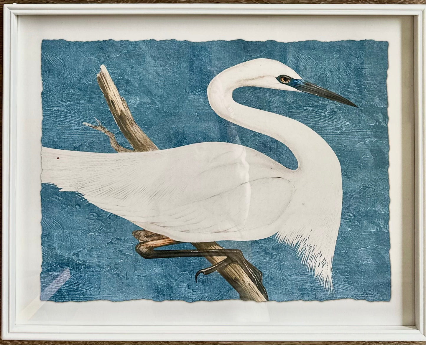Serene Birds Framed Art, 2 assorted