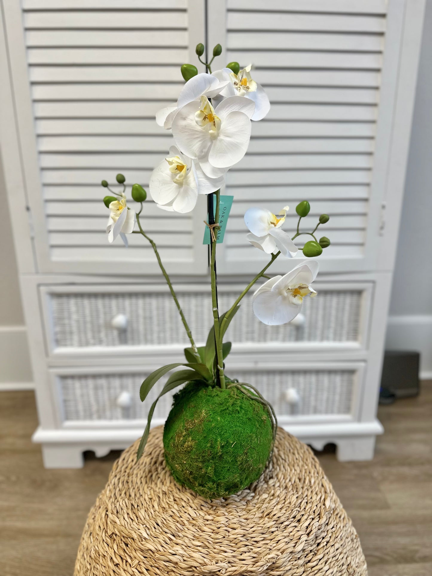 22" Real Touch White Orchid w/ Moss Ball