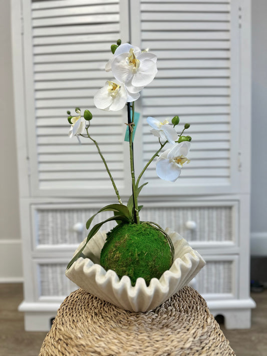 22" Real Touch White Orchid w/ Moss Ball