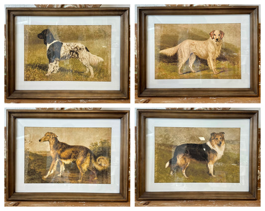 Heritage Hounds Framed Assorted Wall Art