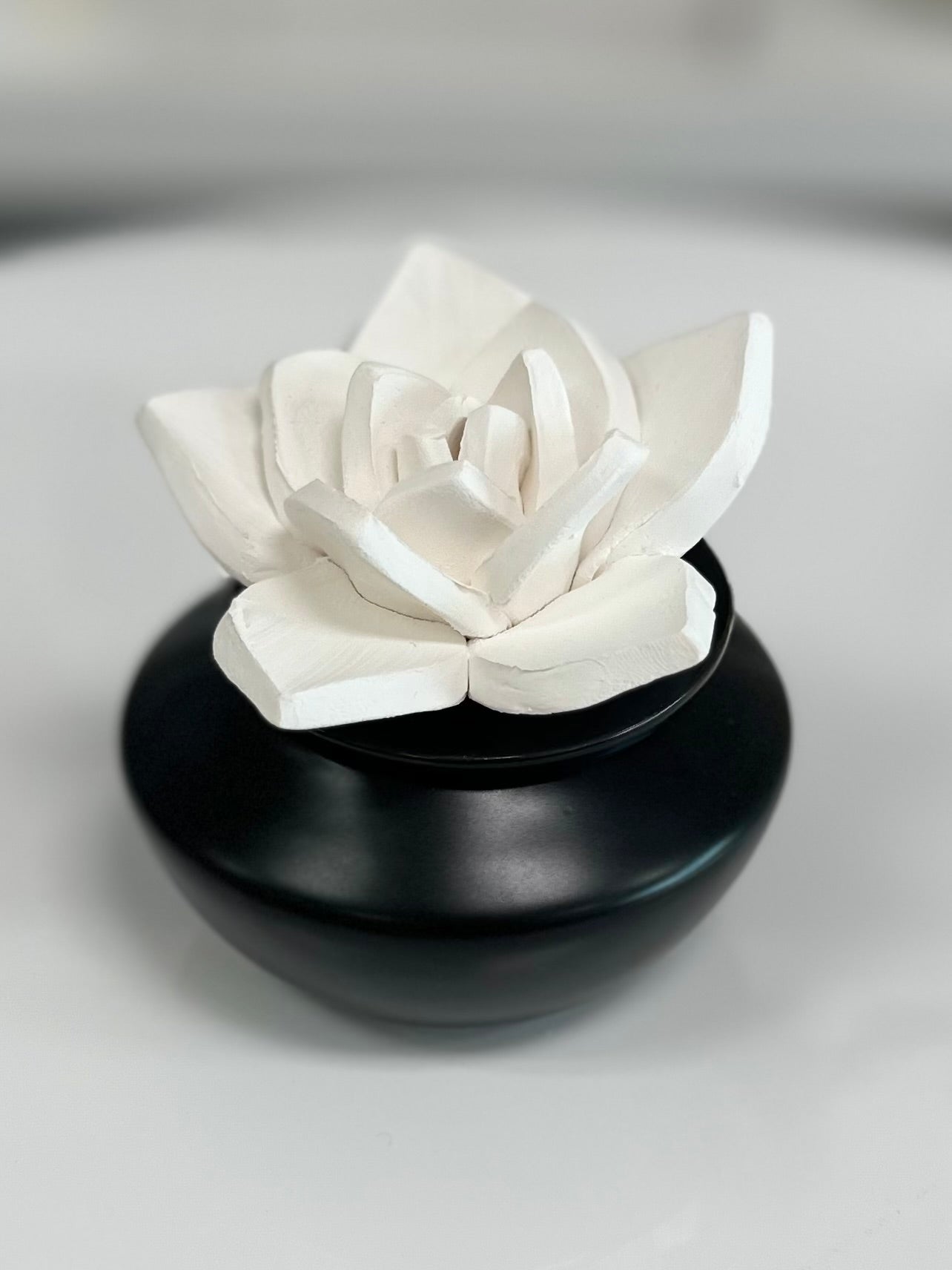Spa Essential Oil Porcelain Diffuser w/ Peppermint Essential Oil (3 designs to choose from)