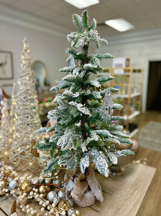 36"Lighted Flocked Pine Tree in Bag